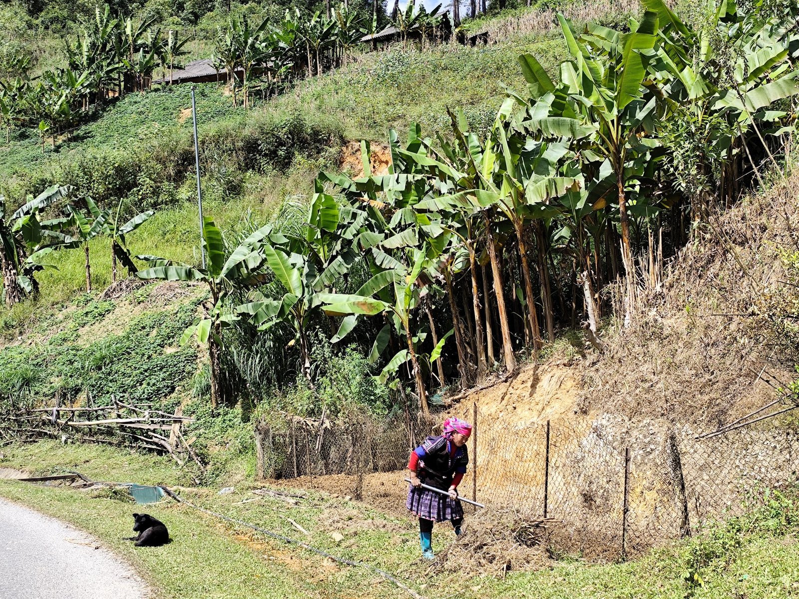 Premium Indochina Bicycle Adventure: The Ultimate Luxury Travel Guide